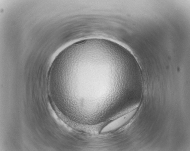 X0000052931534200507221109