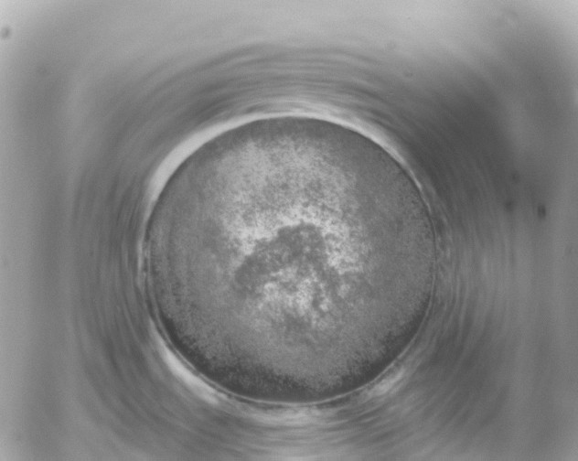 X0000052931535200507221109