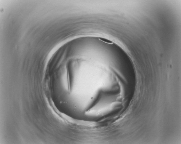 X0000052931536200507221109