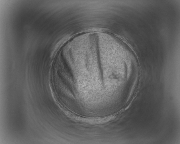 X0000052930001200507300004