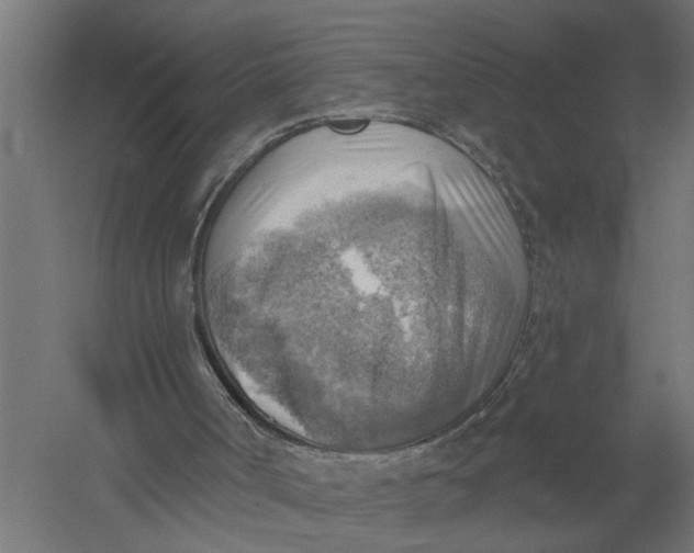 X0000052930002200507300004