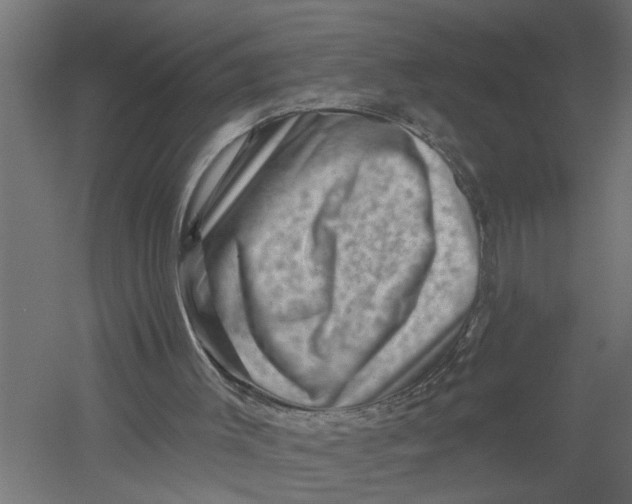 X0000052930003200507300004