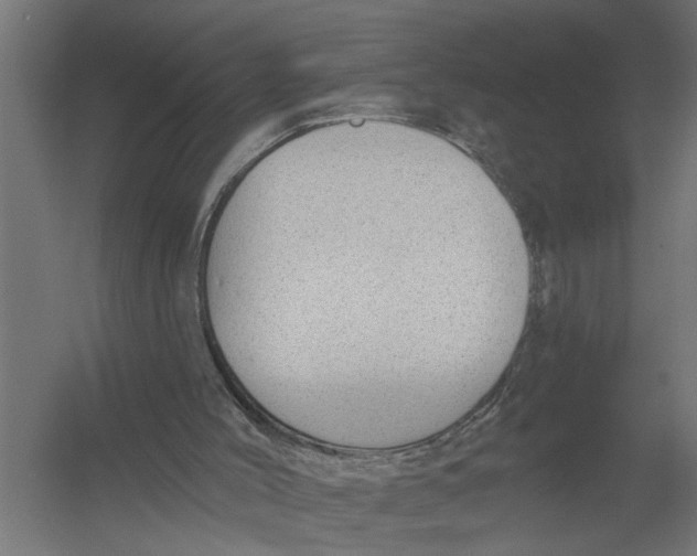 X0000052930004200507300004