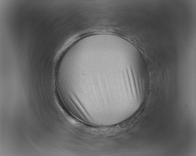 X0000052930005200507300004