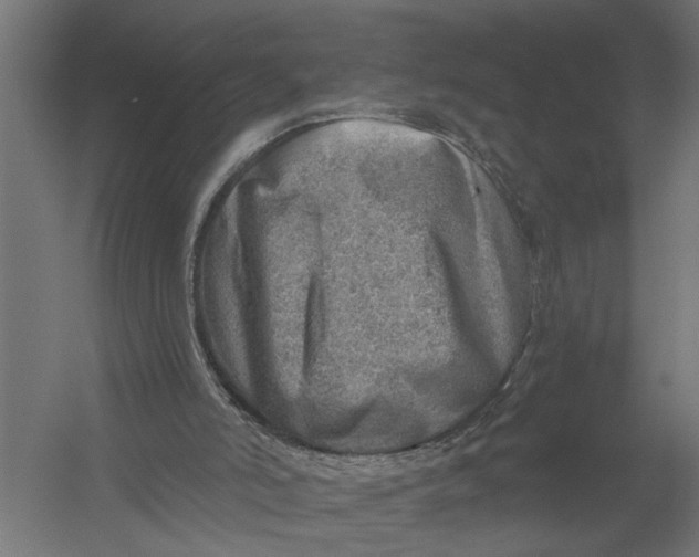 X0000052930006200507300004