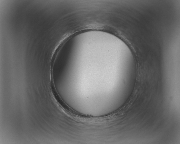 X0000052930011200507300004