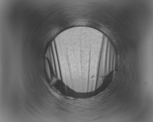 X0000052930013200507300004