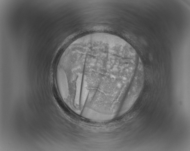 X0000052930016200507300004