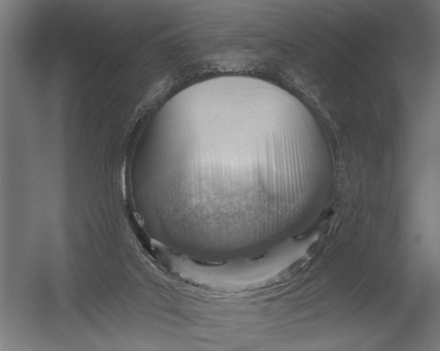 X0000052930019200507300004