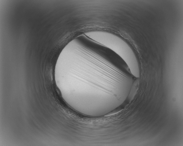 X0000052930021200507300004