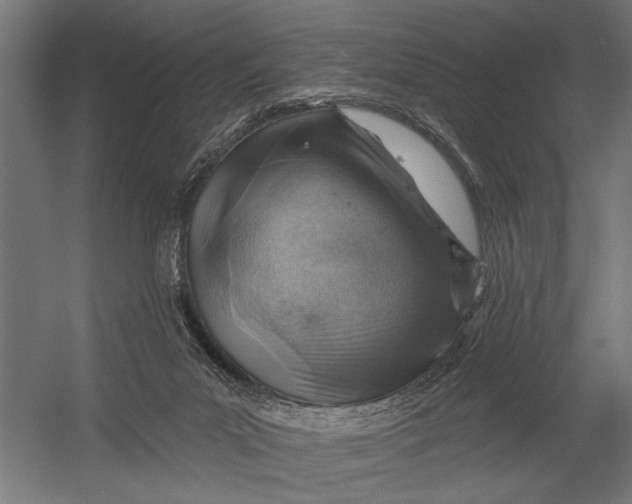 X0000052930023200507300004