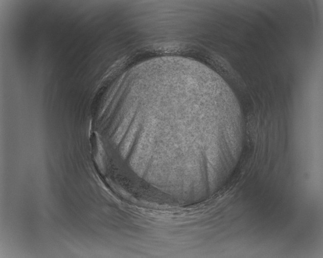X0000052930024200507300004