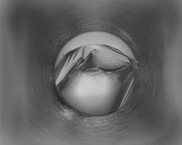 X0000052930025200507300004