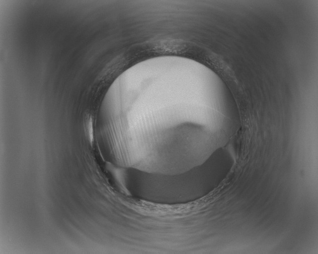 X0000052930027200507300004