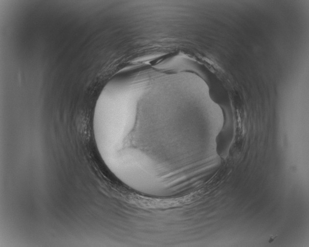 X0000052930031200507300004