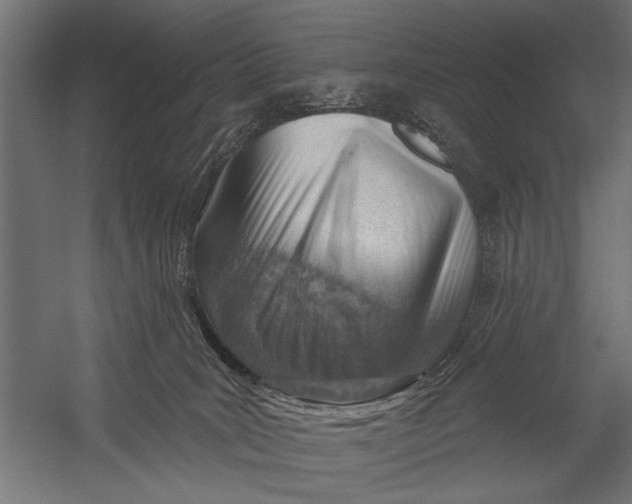 X0000052930035200507300004