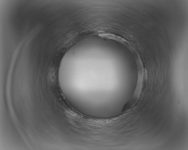 X0000052930037200507300004