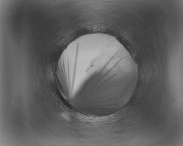 X0000052930039200507300003