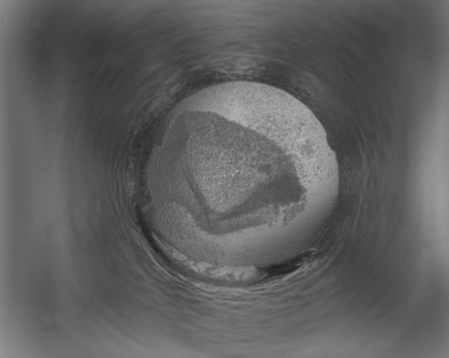 X0000052930040200507300003