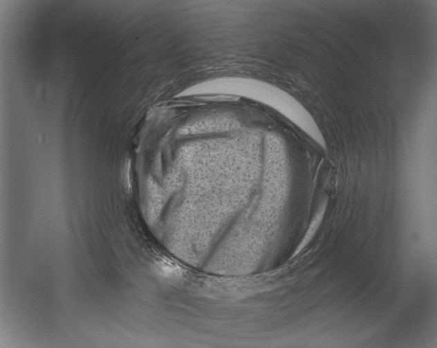 X0000052930041200507300003