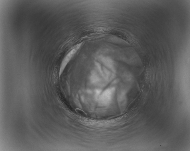 X0000052930043200507300003