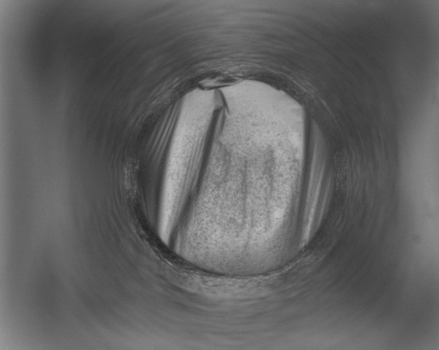 X0000052930044200507300003