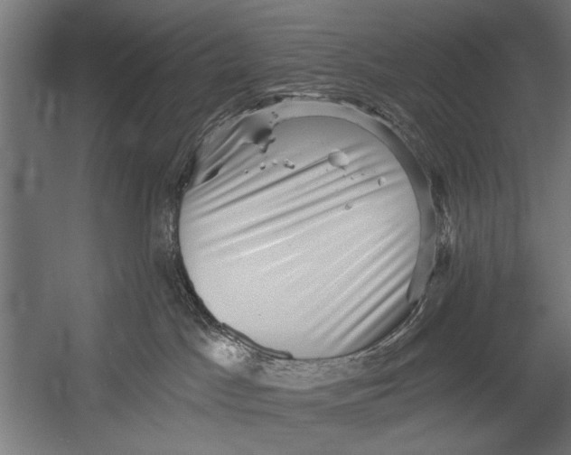 X0000052930045200507300003