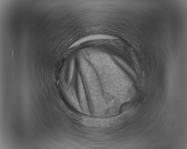 X0000052930048200507300003