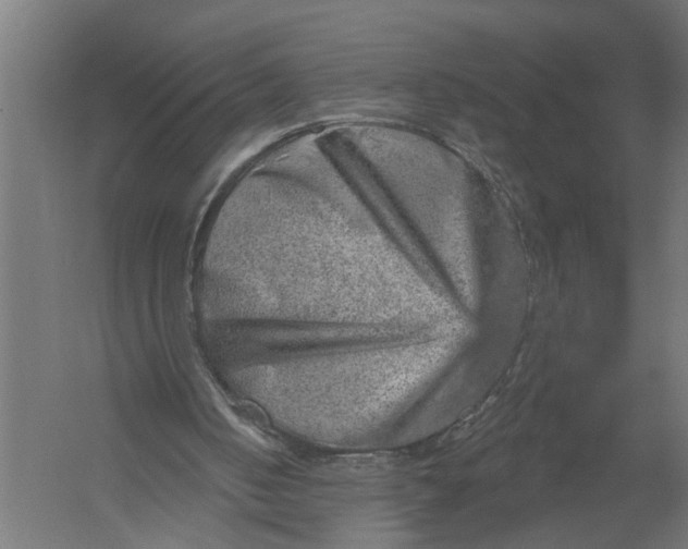 X0000052930050200507300003