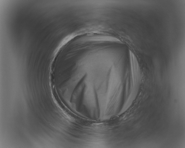 X0000052930054200507300003