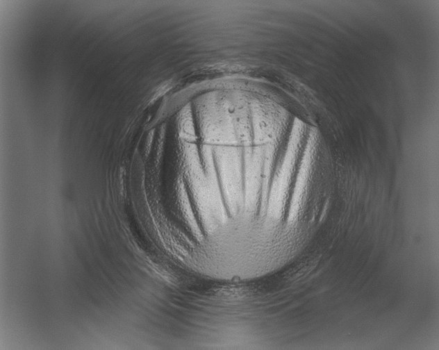 X0000052930071200507300003