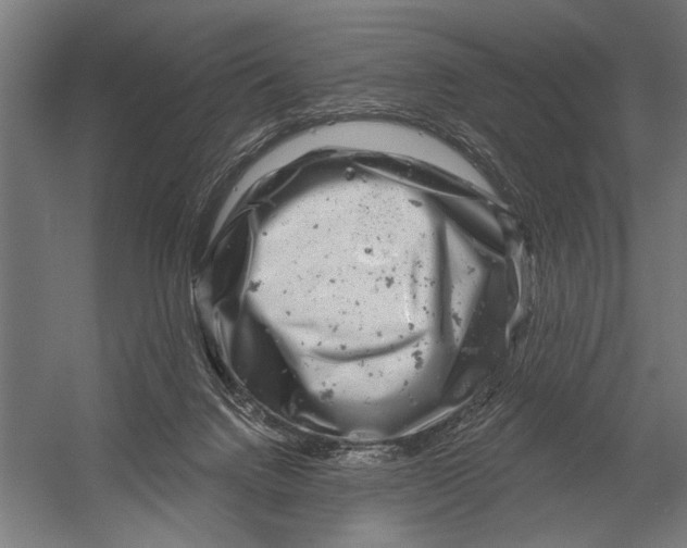 X0000052930072200507300003