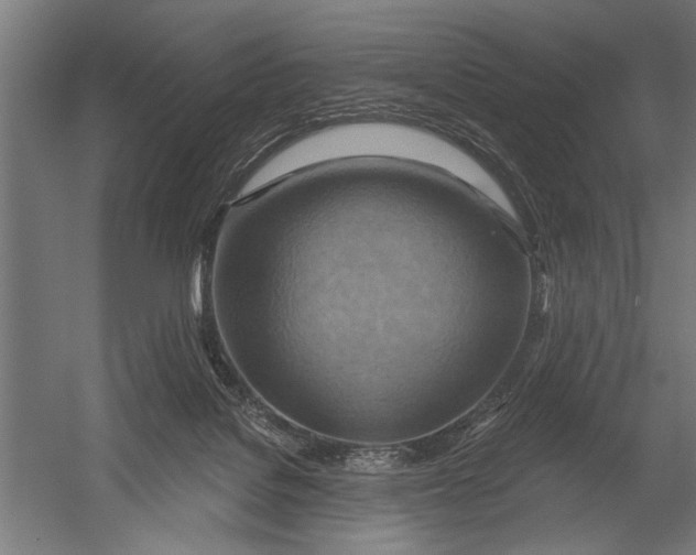 X0000052930076200507300003