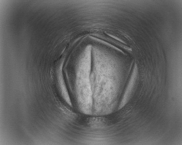 X0000052930077200507300003