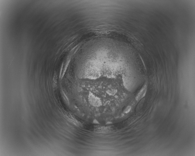 X0000052930081200507300003