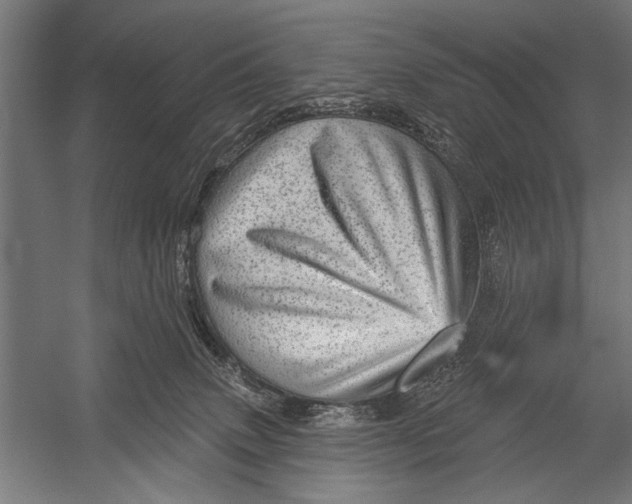 X0000052930083200507300003