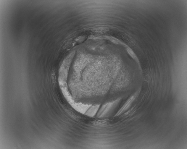 X0000052930086200507300003