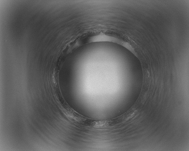 X0000052930088200507300003
