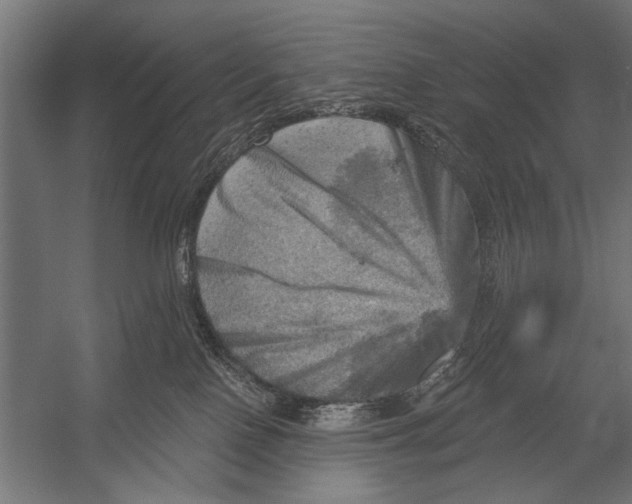 X0000052930090200507300003