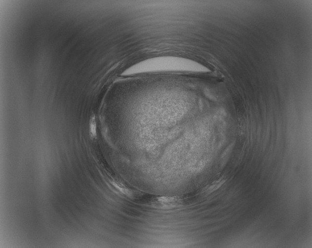 X0000052930095200507300003