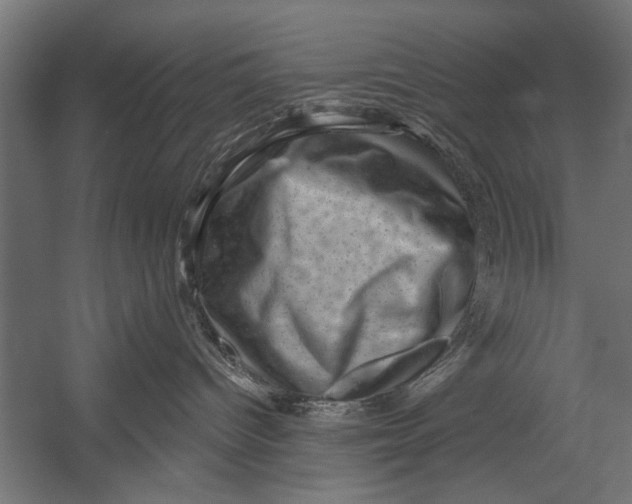 X0000052930096200507300003