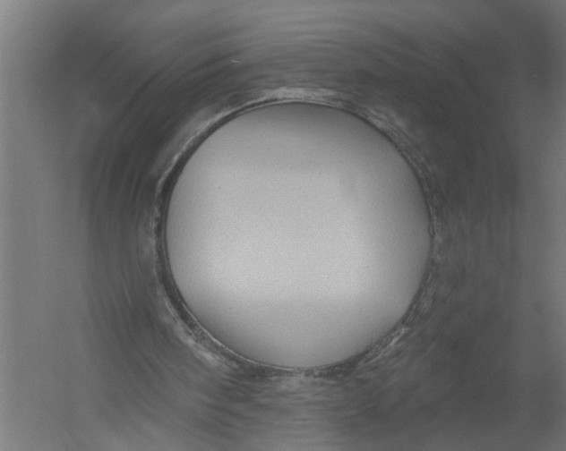 X0000052930098200507300002