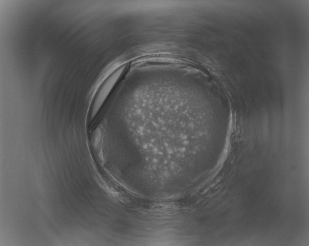 X0000052930099200507300002