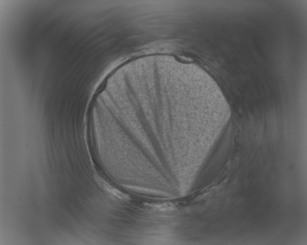 X0000052930100200507300002