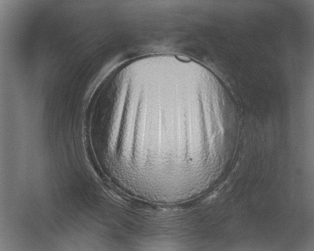 X0000052930103200507300002