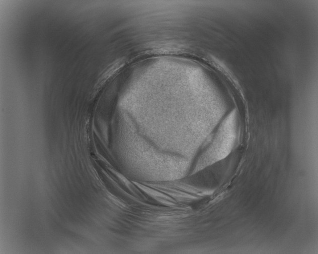 X0000052930105200507300002