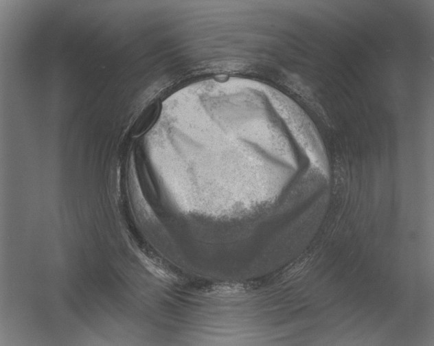 X0000052930110200507300002