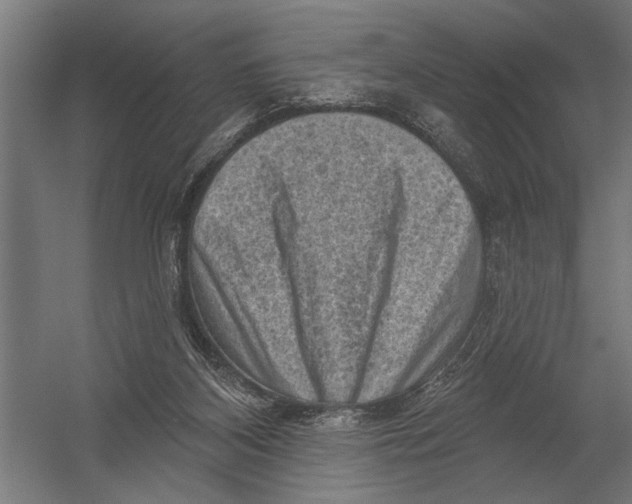 X0000052930116200507300002