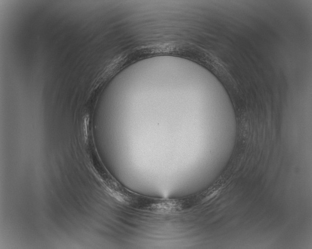 X0000052930118200507300002