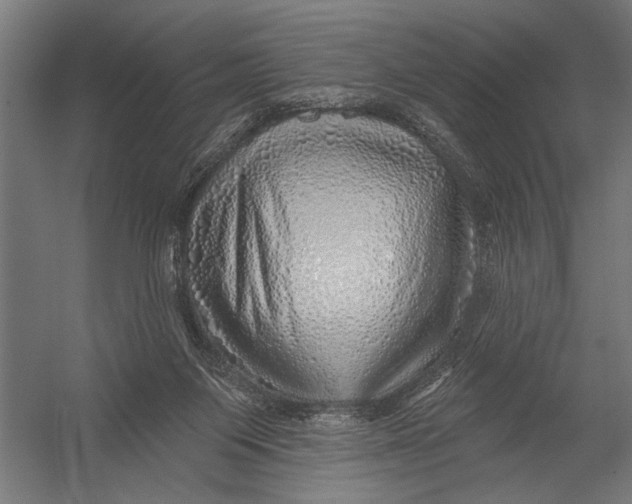 X0000052930119200507300002